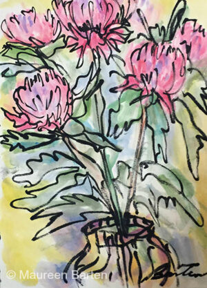 Waratahs on Friday Night by Maureen Barten
